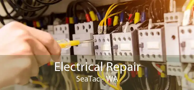 Electrical Repair SeaTac - WA