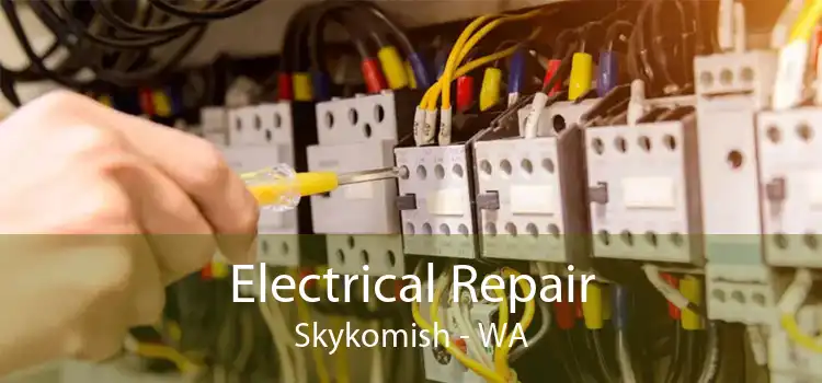 Electrical Repair Skykomish - WA