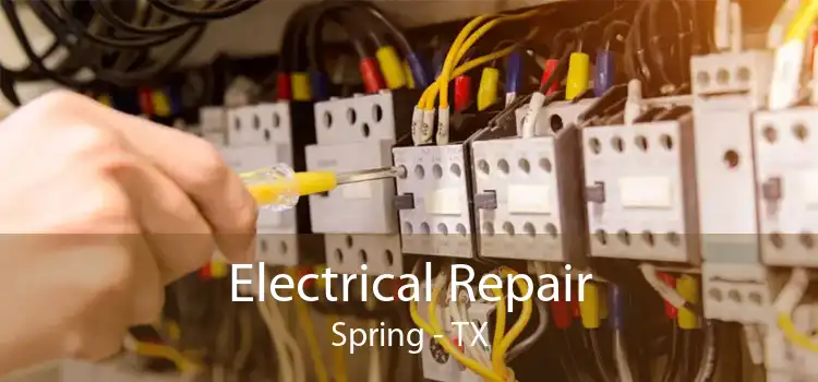 Electrical Repair Spring - TX