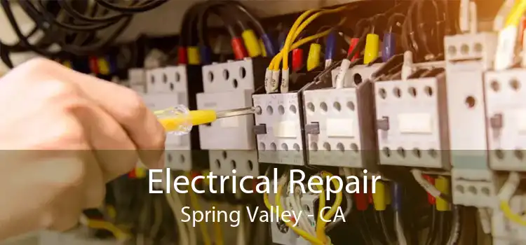 Electrical Repair Spring Valley - CA
