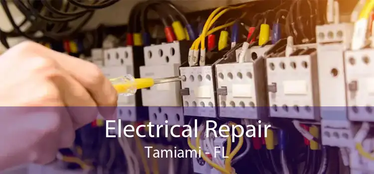 Electrical Repair Tamiami - FL