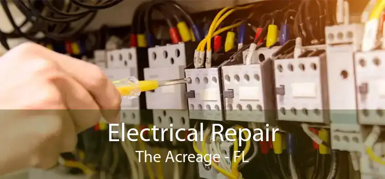 Electrical Repair The Acreage - FL