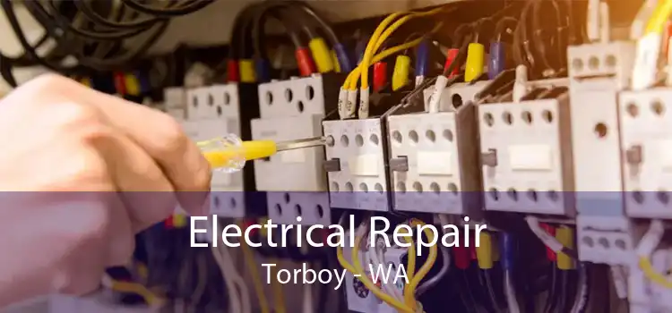 Electrical Repair Torboy - WA
