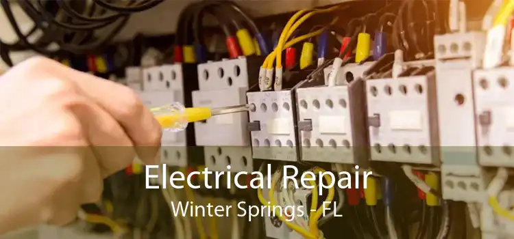 Electrical Repair Winter Springs - FL