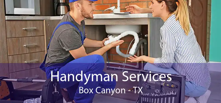 Handyman Services Box Canyon - TX