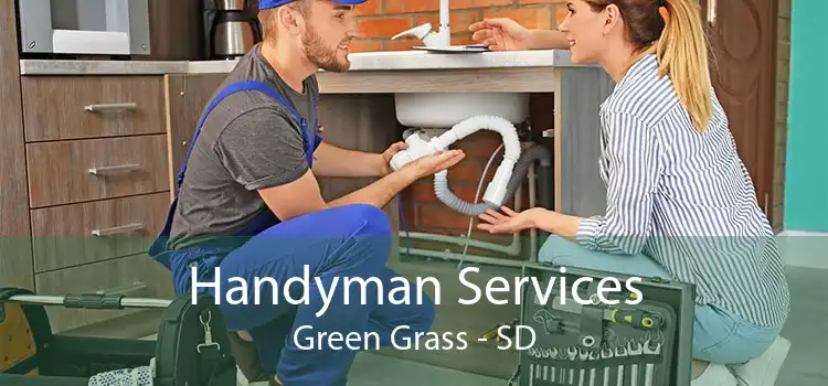 Handyman Services Green Grass - SD