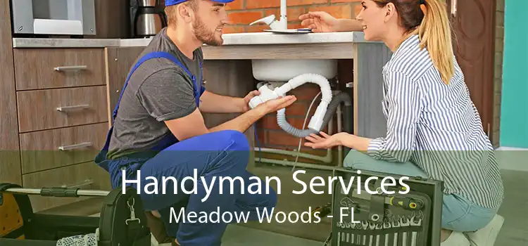 Handyman Services Meadow Woods - FL