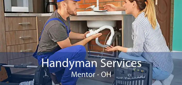 Handyman Services Mentor - OH