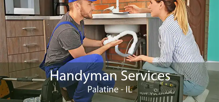 Handyman Services Palatine - IL