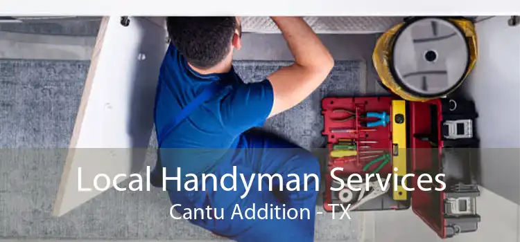 Local Handyman Services Cantu Addition - TX