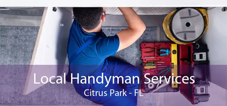 Local Handyman Services Citrus Park - FL