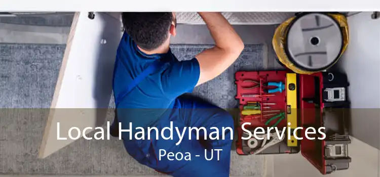 Local Handyman Services Peoa - UT