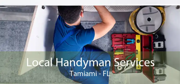 Local Handyman Services Tamiami - FL