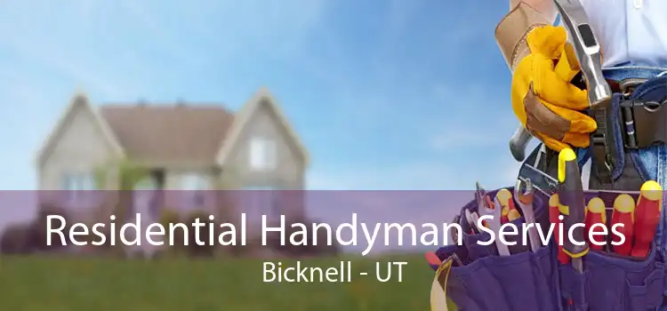 Residential Handyman Services Bicknell - UT