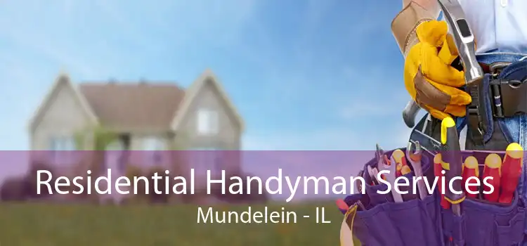 Residential Handyman Services Mundelein - IL