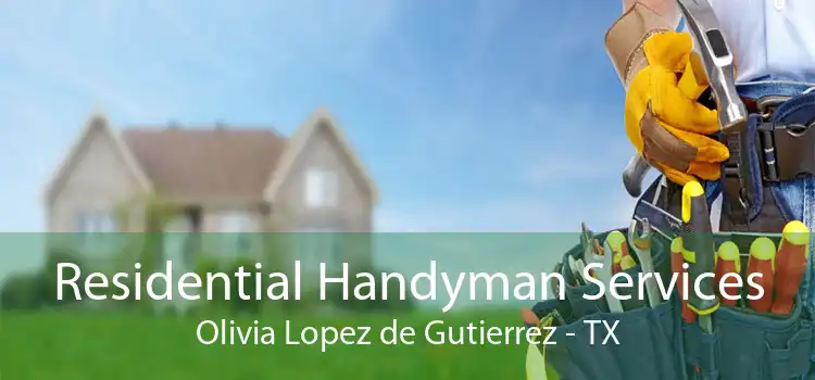 Residential Handyman Services Olivia Lopez de Gutierrez - TX